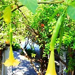 Guest house Camlikosk Bodrum