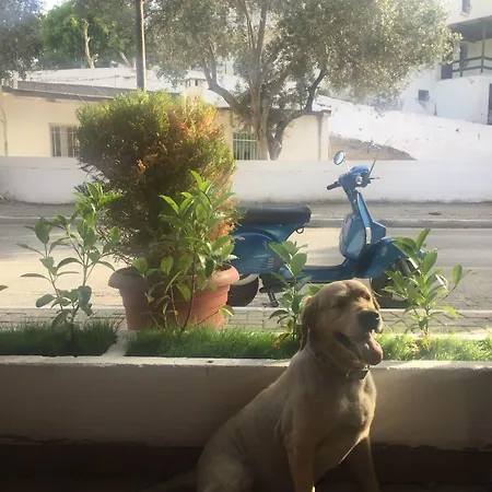 Camlikosk Casa de hóspedes 3*