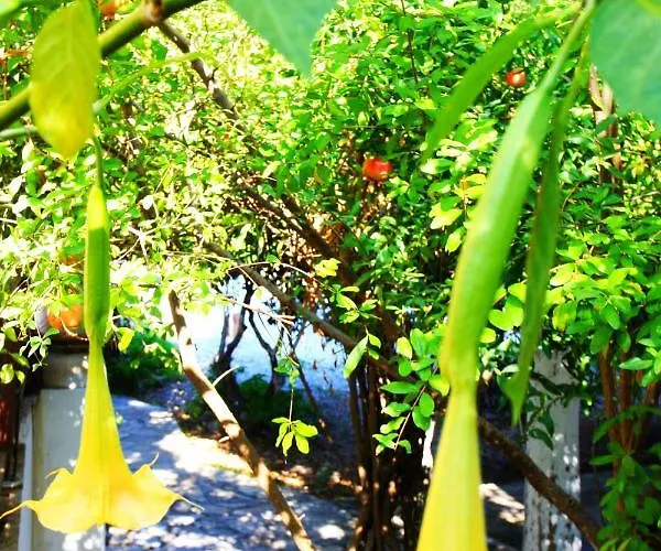 Gæstehus Camlikosk Bodrum