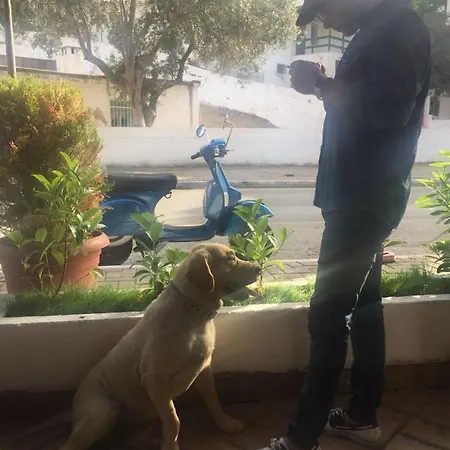 Konukevi Camlikosk Bodrum