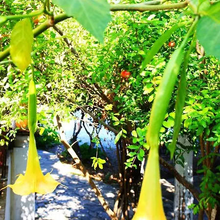 Hotel Camlikosk Bodrum